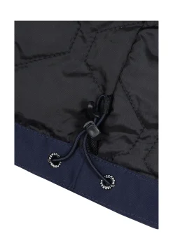 Icepeak Alston