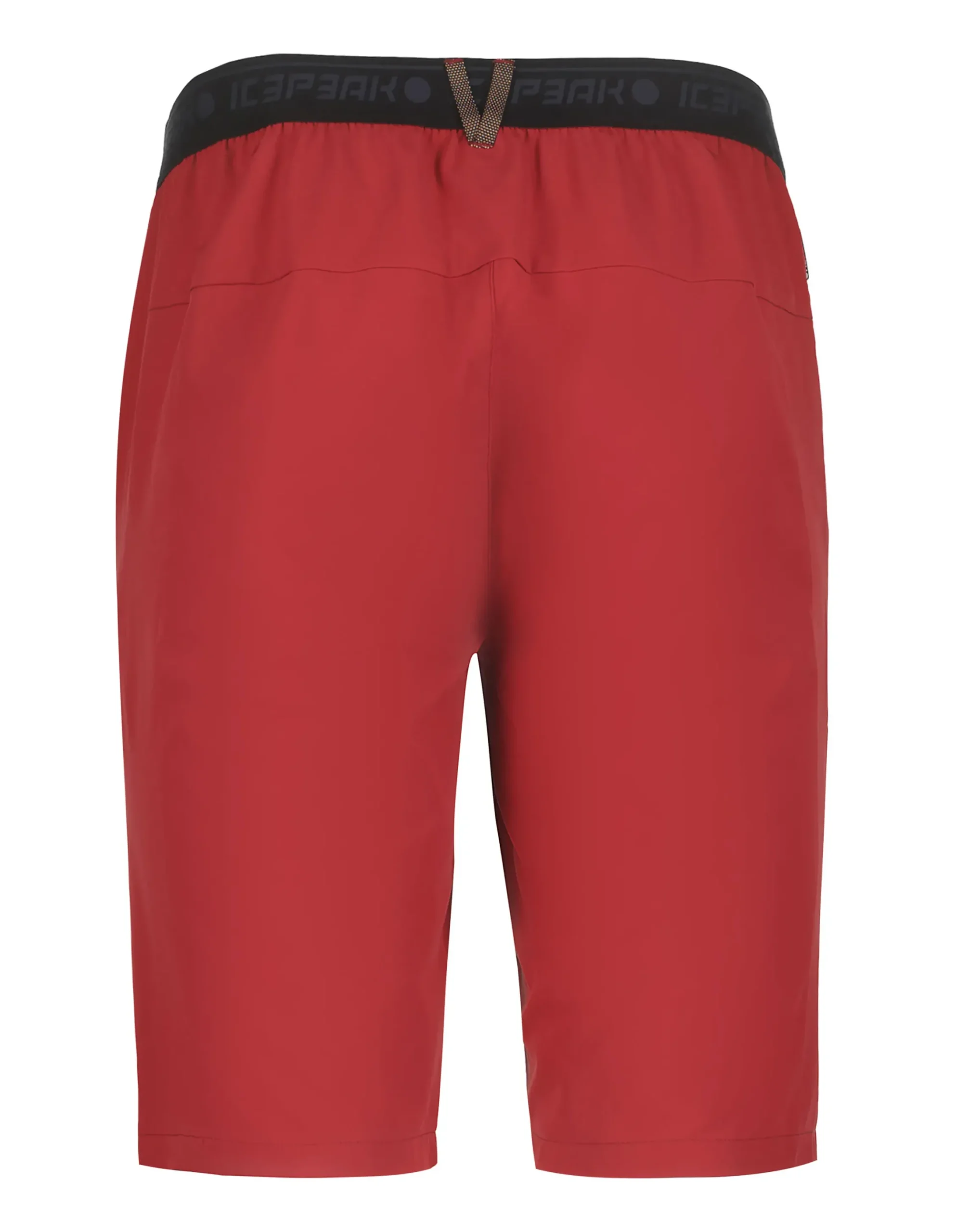 Icepeak Baxter