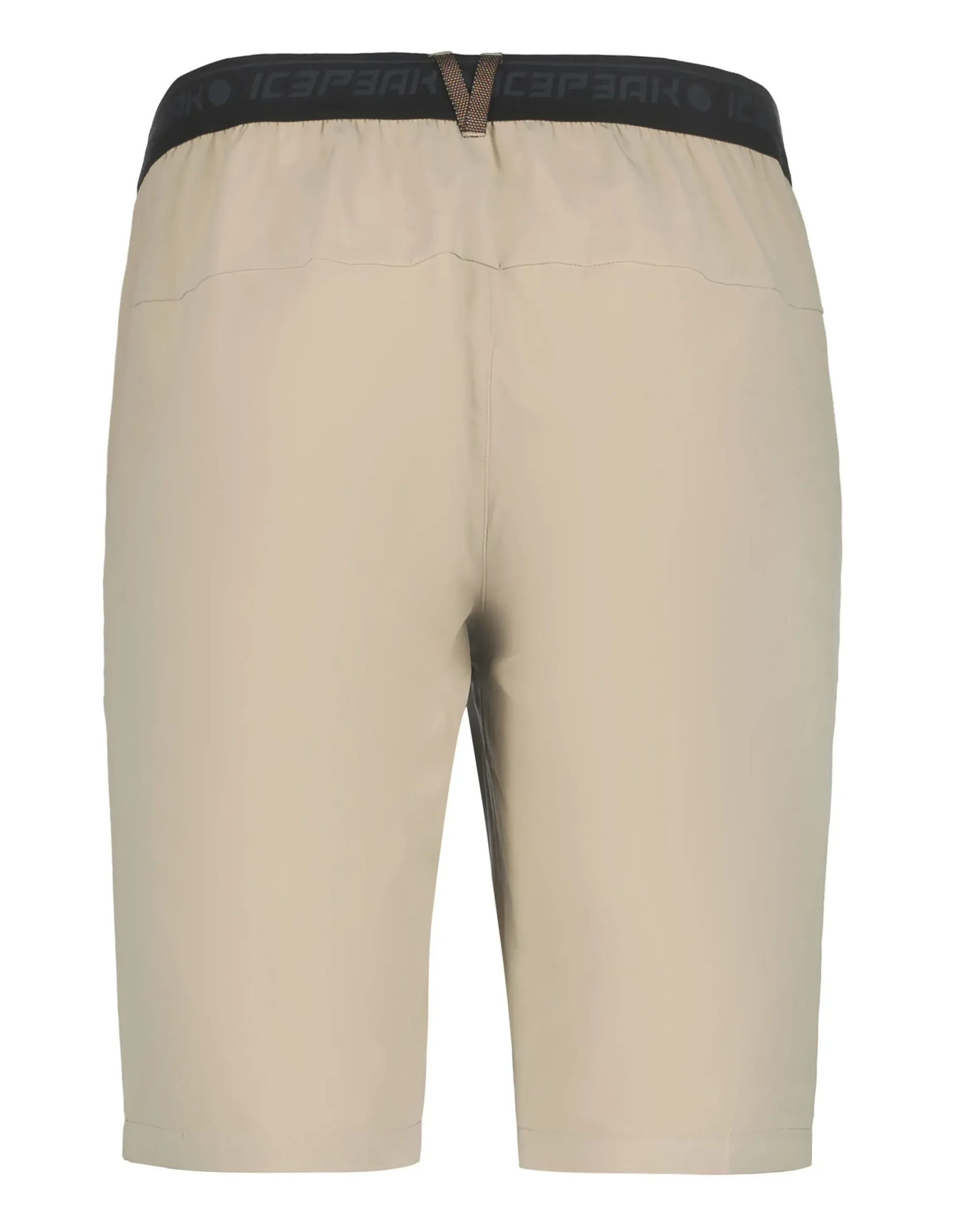Icepeak Baxter
