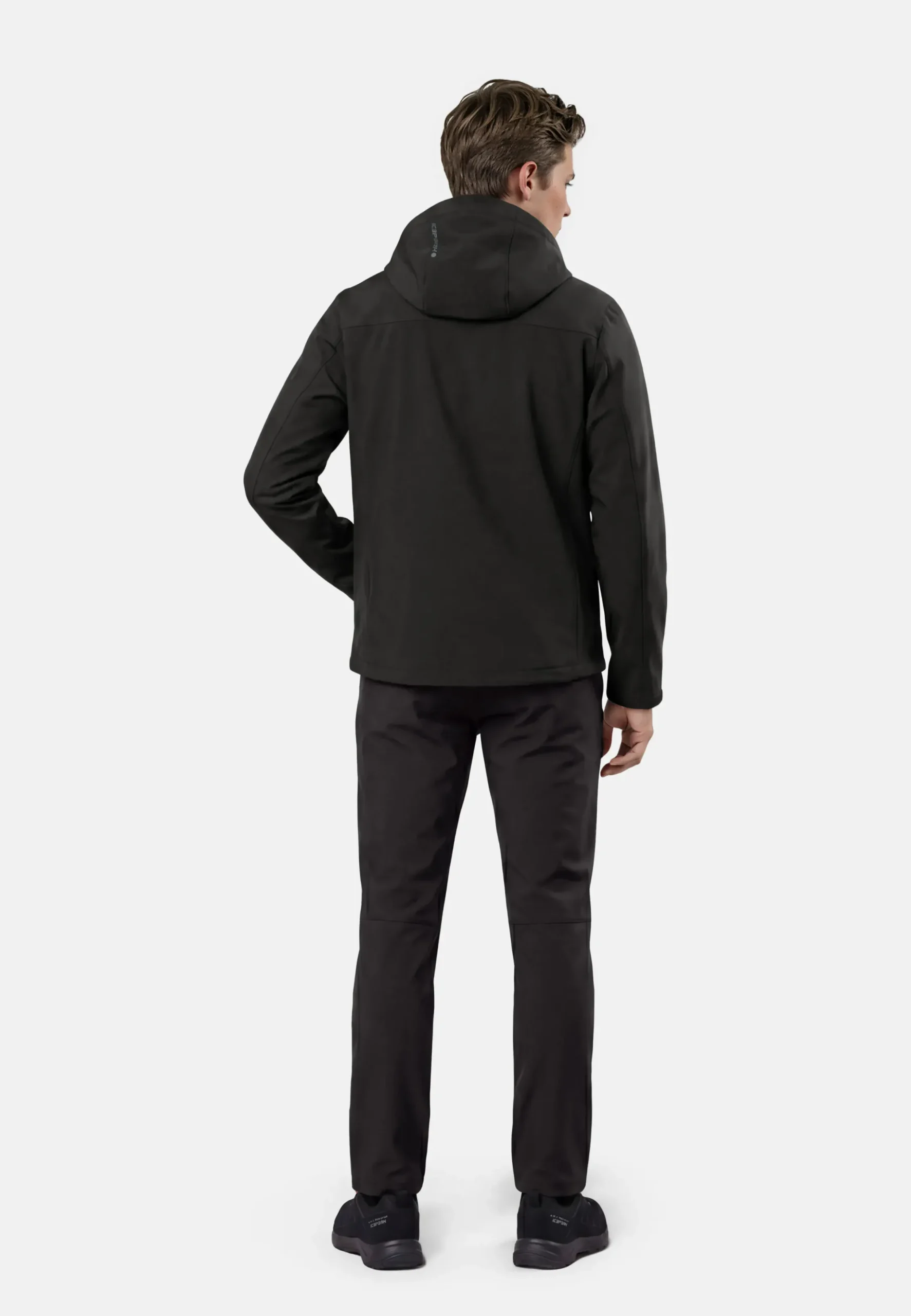 Icepeak Beedeville
