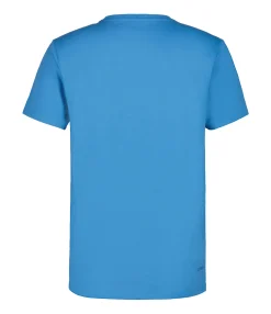 Icepeak Beeville