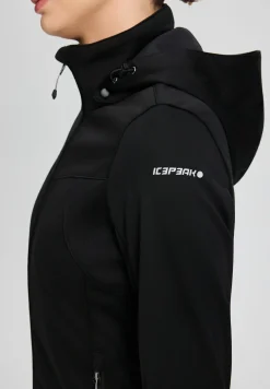 Icepeak Boise