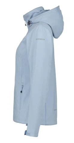 Icepeak Boise