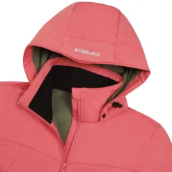 Icepeak Boise