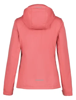 Icepeak Boise