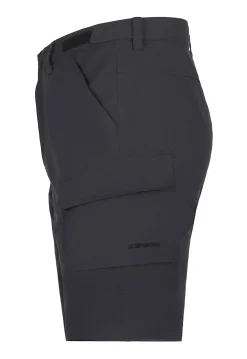 Icepeak Braswell