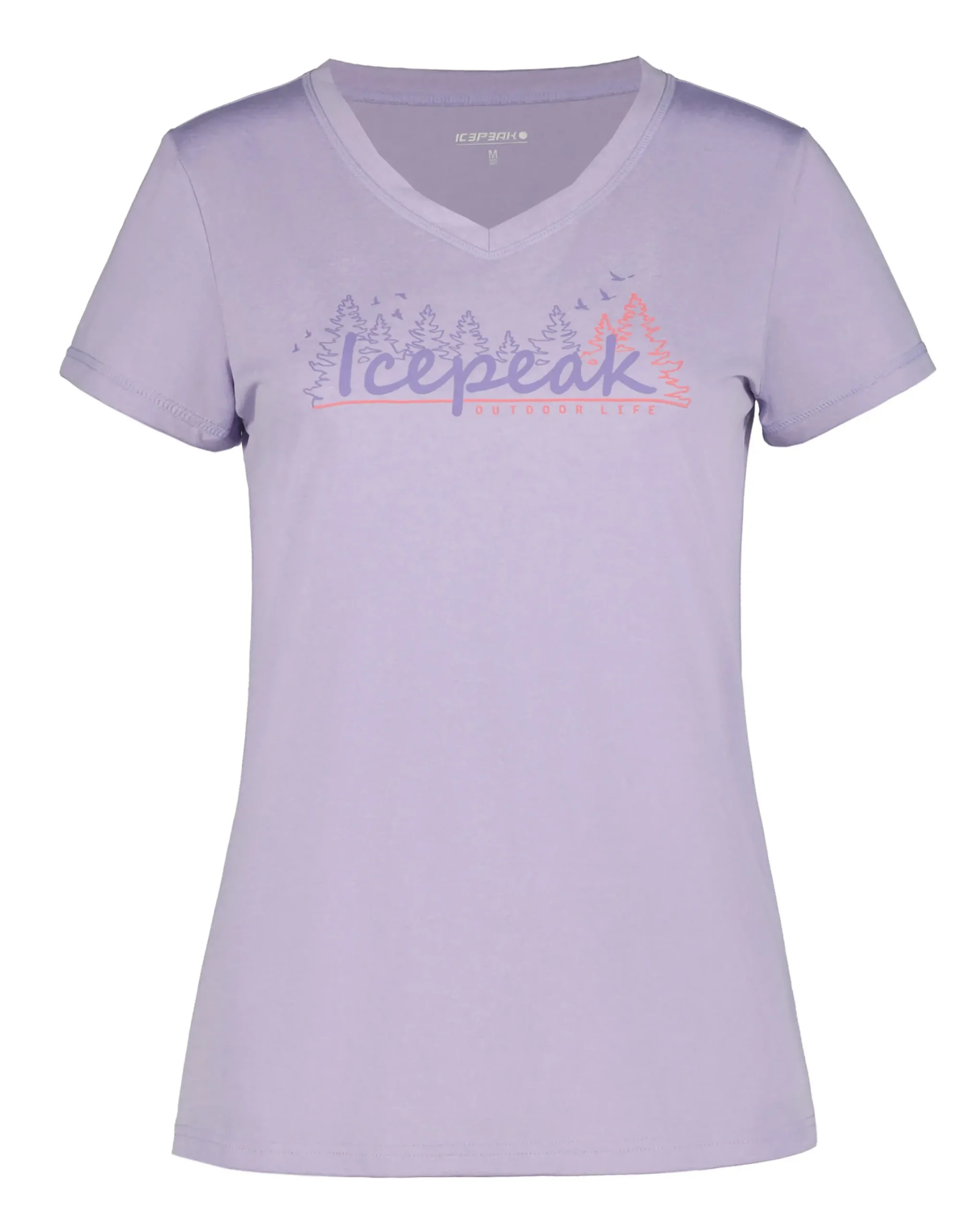 Icepeak Burnham