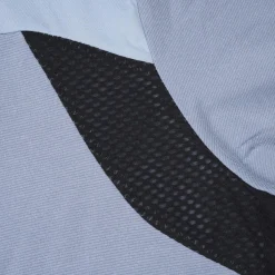 Icepeak Deloit