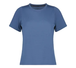 Icepeak Deloit