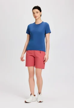Icepeak Deloit