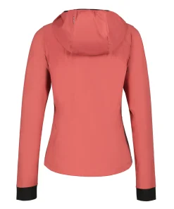 Icepeak Dinan