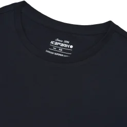 Icepeak Izumi