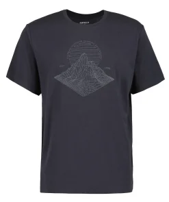Icepeak Marsing