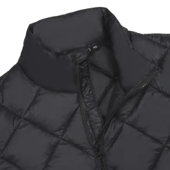 Icepeak Palmer