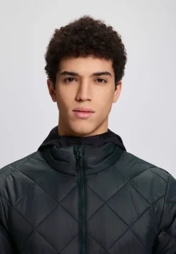 Icepeak Palmer