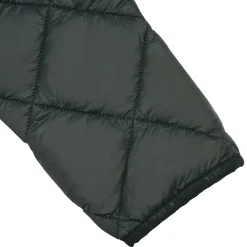 Icepeak Palmer