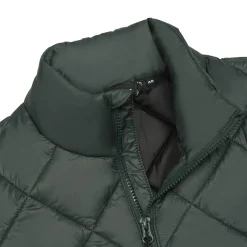 Icepeak Palmer
