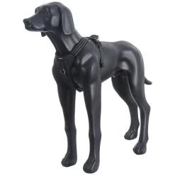 Icepeak Pet Highway harness