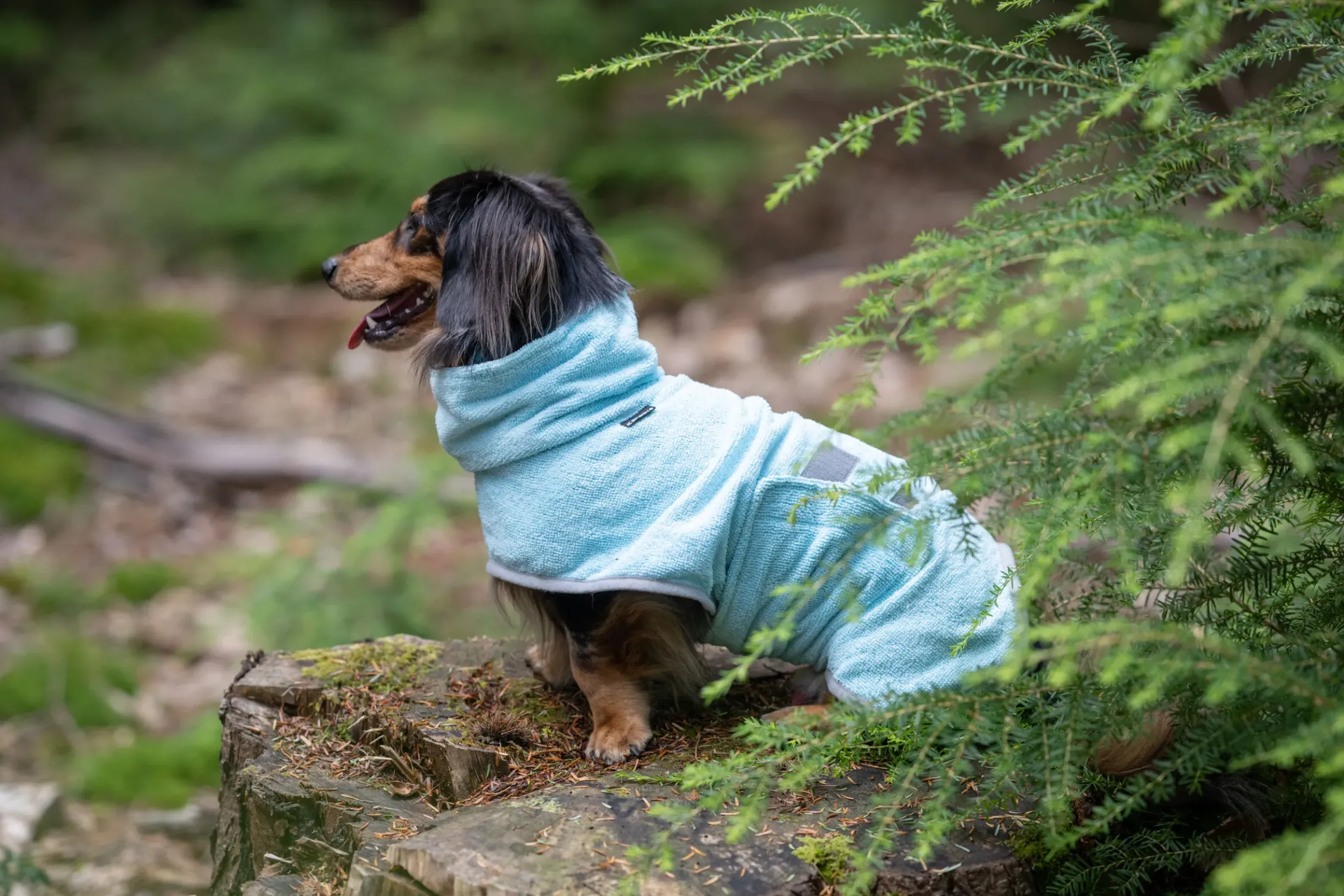 Icepeak Pet Splash bathrobe