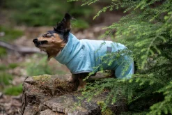 Icepeak Pet Splash bathrobe