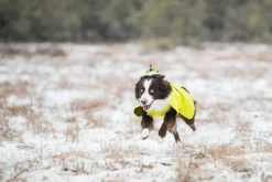 Icepeak Pet Strike raincoat